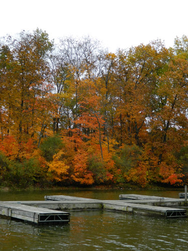 Lake Mingo boat docks in Fall