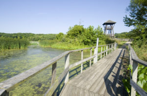 Boardwalk