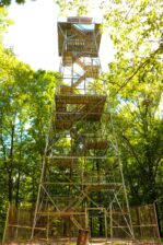 Forest Glen observation tower