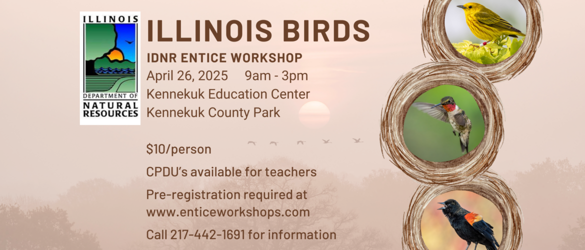 IL Birds entice workshop flyer